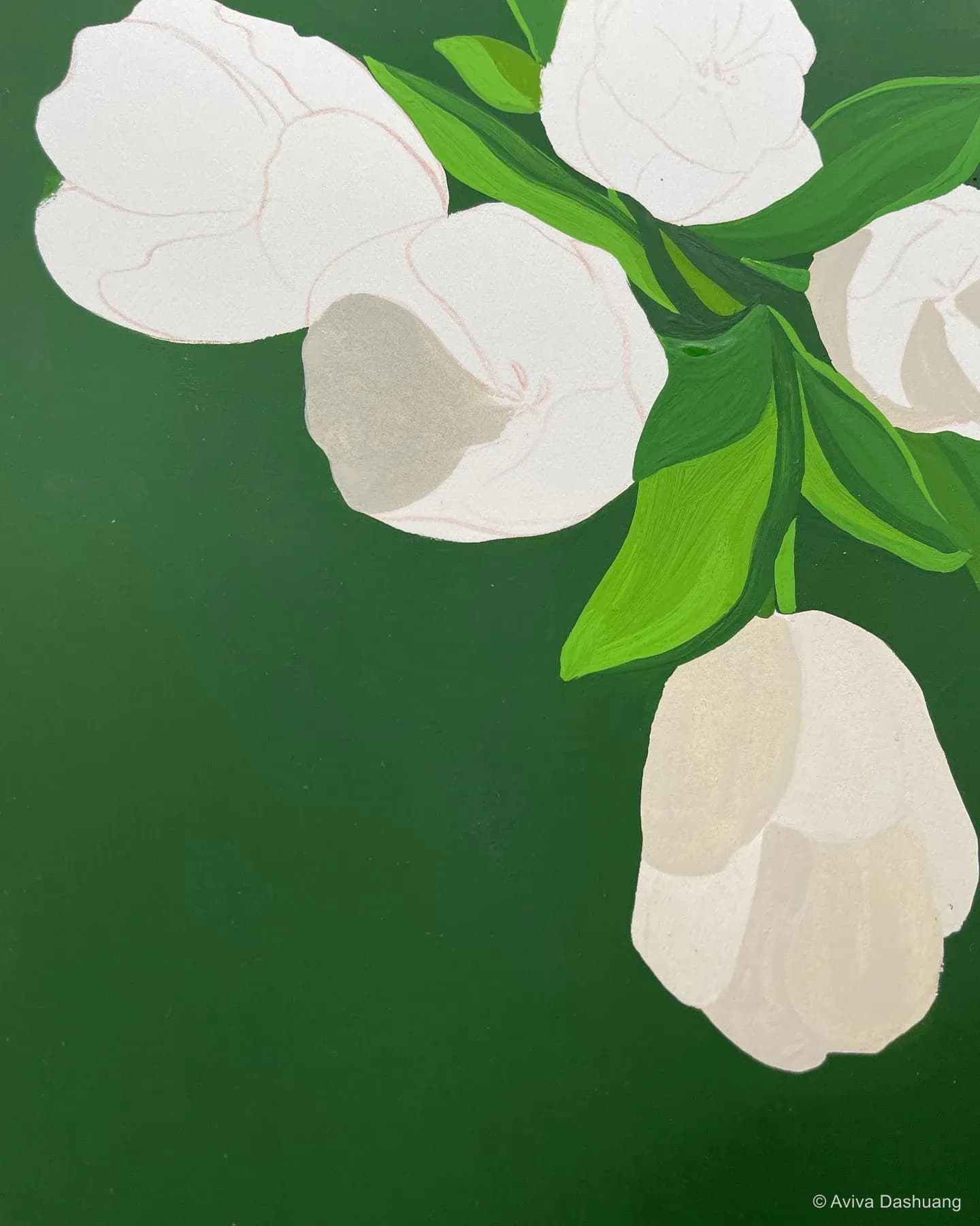 深绿色背景上的白色郁金香水粉画局部
